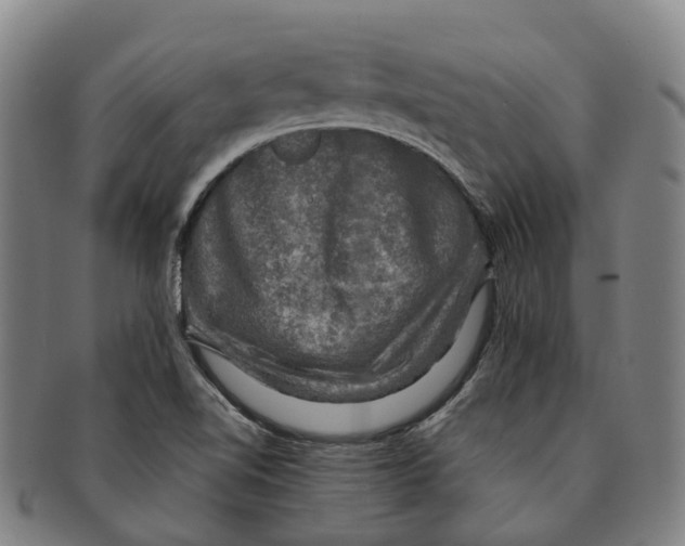 X0000091011510200708301345