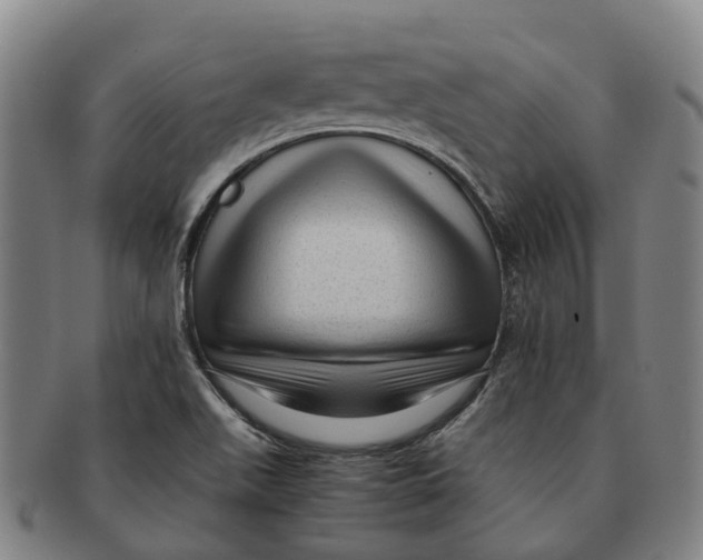 X0000091011511200708301345