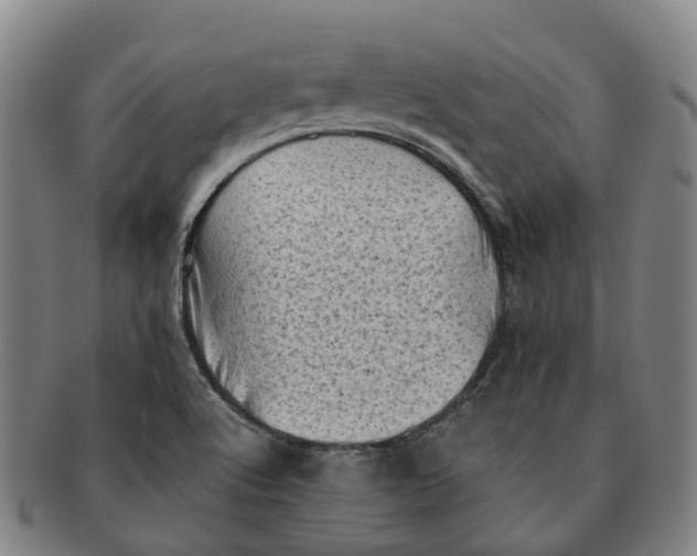 X0000091011512200708301345