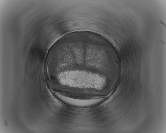 X0000091011513200708301345