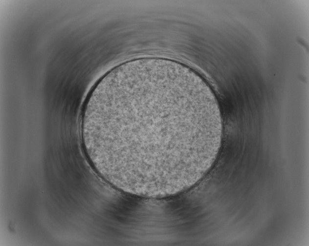 X0000091011514200708301345