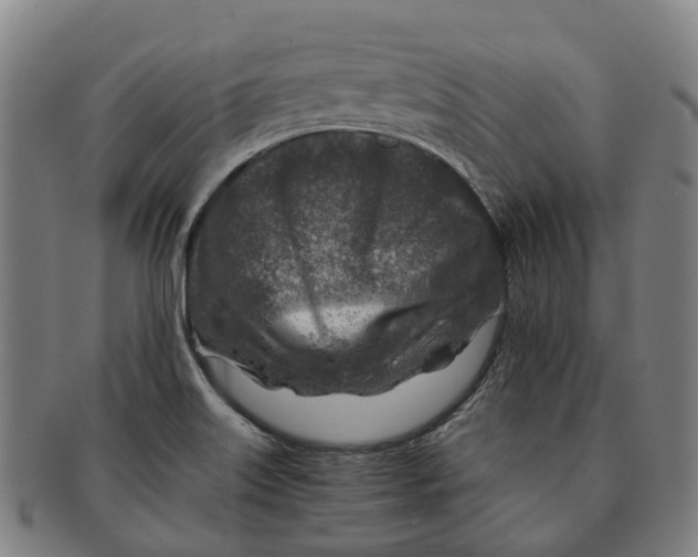 X0000091011515200708301345