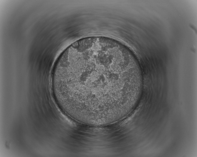 X0000091011517200708301345