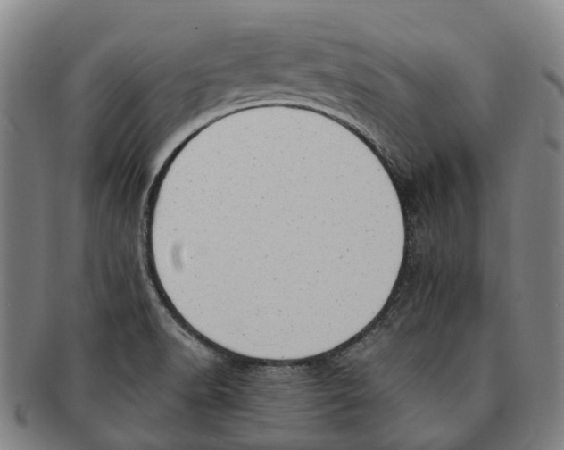 X0000091011518200708301345