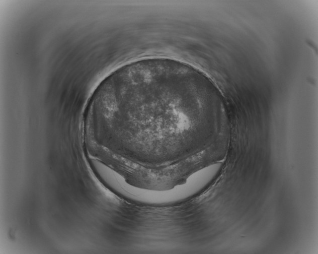 X0000091011519200708301345