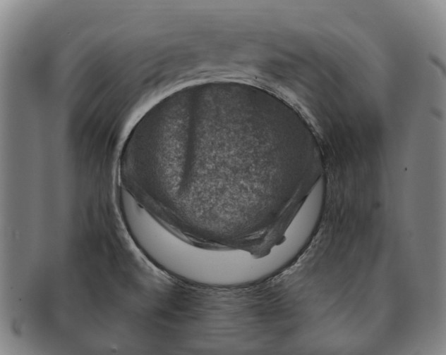 X0000091011520200708301345