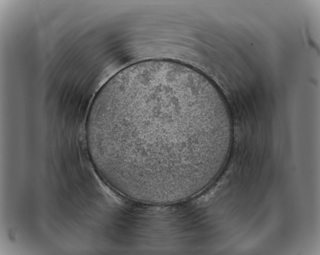 X0000091011521200708301345