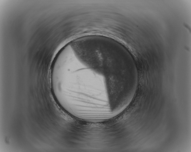 X0000091011522200708301345