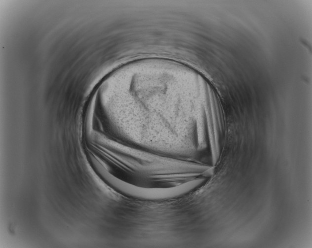 X0000091011523200708301345