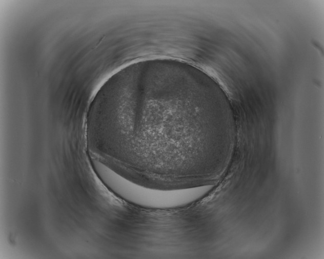 X0000091011524200708301345