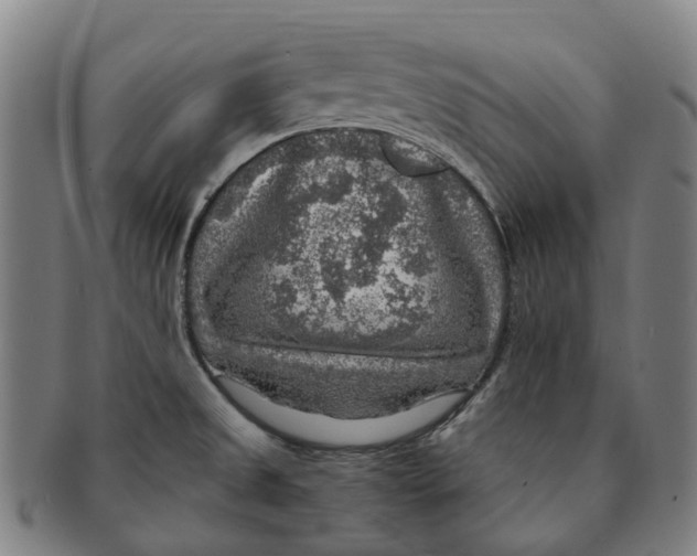 X0000091011525200708301345