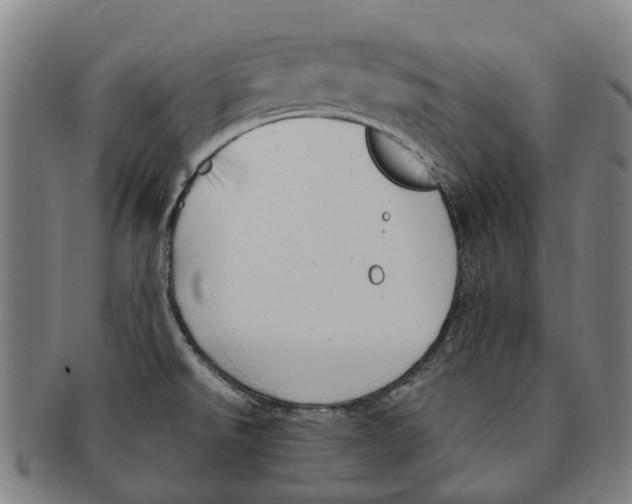 X0000091011526200708301345