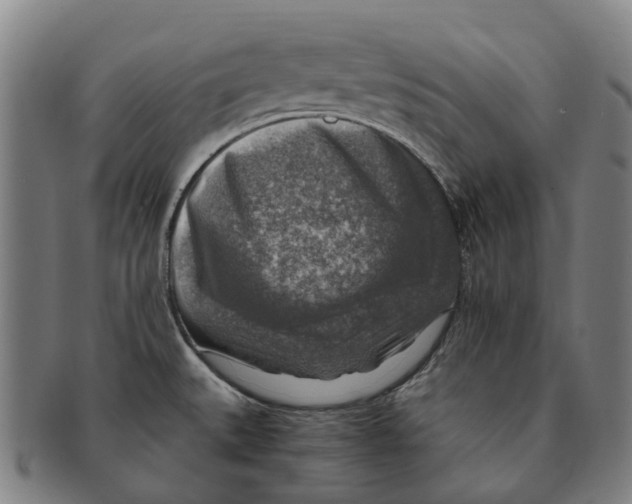 X0000091011527200708301345