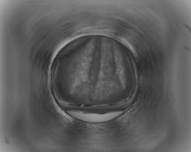 X0000091011528200708301345