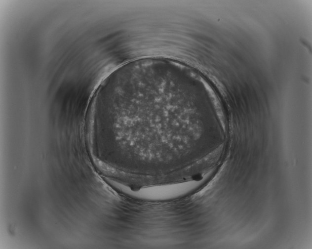 X0000091011529200708301345