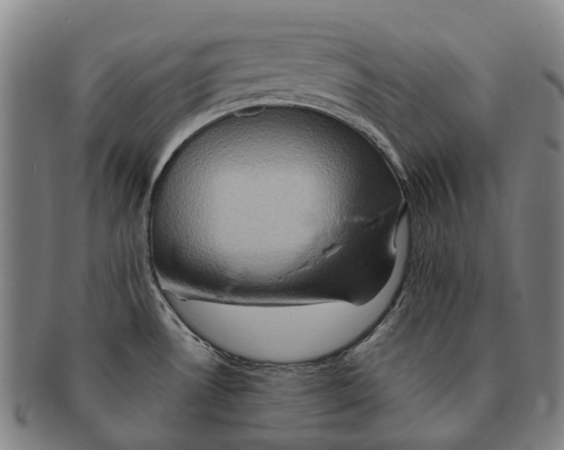 X0000091011530200708301345