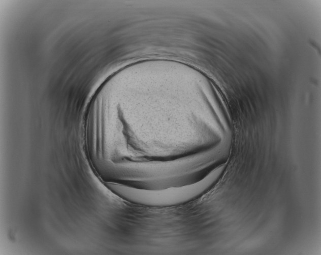 X0000091011531200708301345