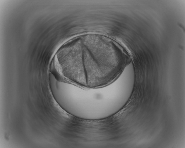 X0000091011532200708301345