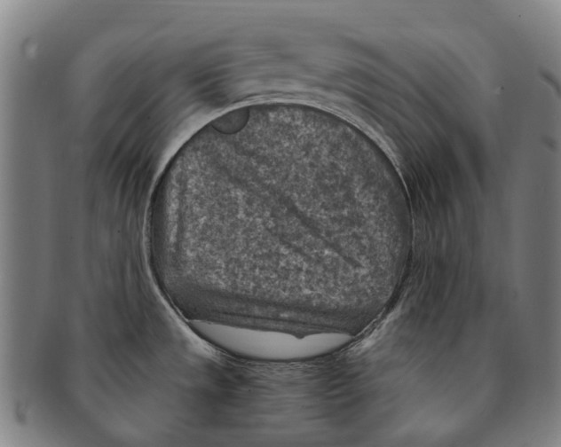 X0000091011533200708301345