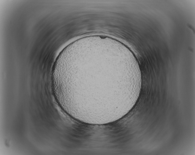 X0000091011534200708301345