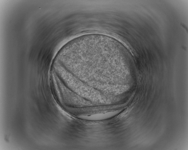 X0000091011535200708301345