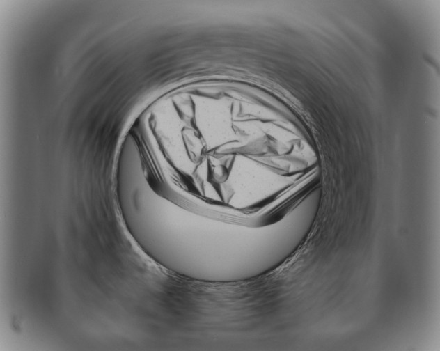 X0000091011536200708301345