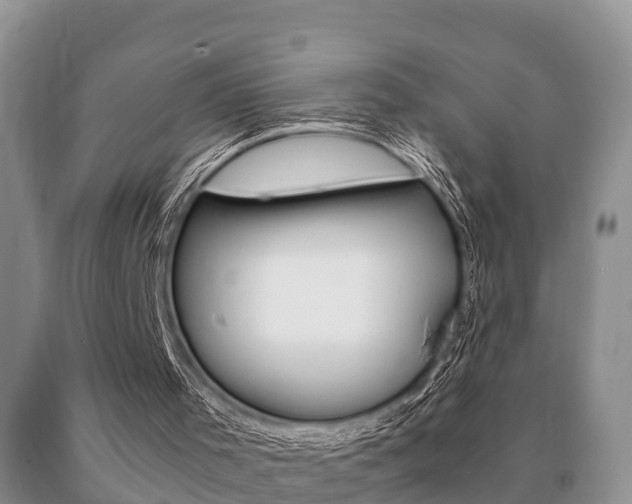 X0000091060001200708061011