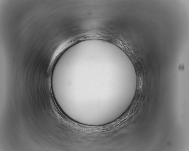 X0000091060004200708061011