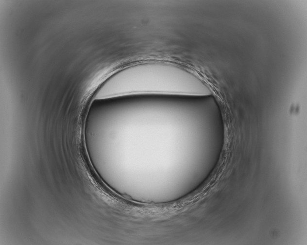 X0000091060005200708061011