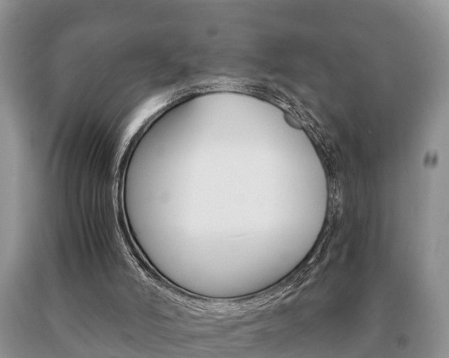 X0000091060006200708061011