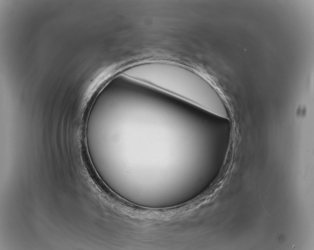 X0000091060007200708061011
