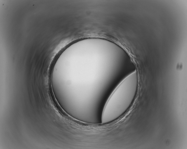 X0000091060008200708061011
