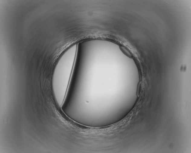 X0000091060009200708061011