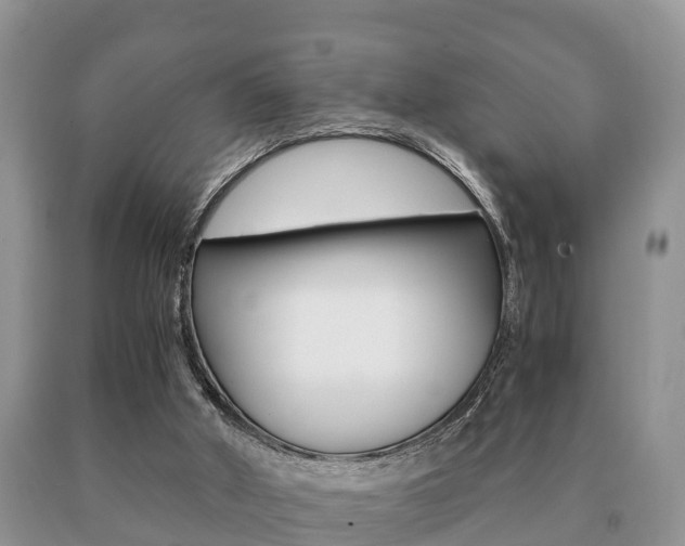 X0000091060010200708061010