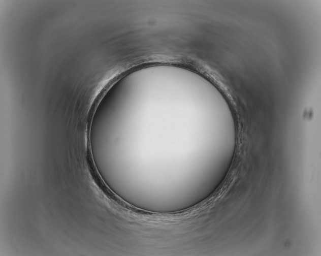 X0000091060011200708061010