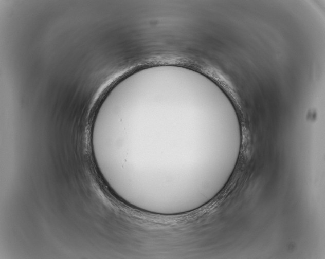 X0000091060012200708061010