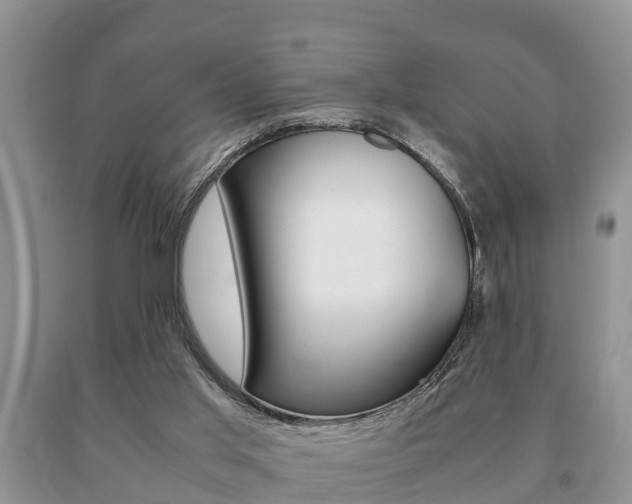 X0000091060013200708061010