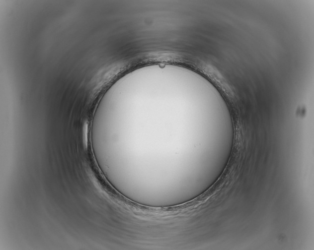 X0000091060014200708061010