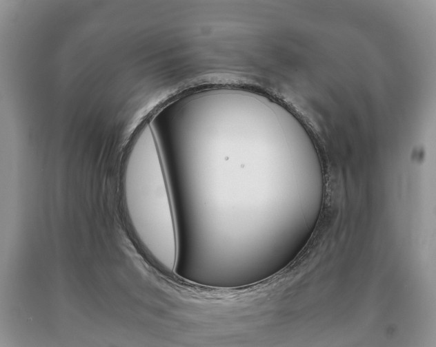 X0000091060015200708061010