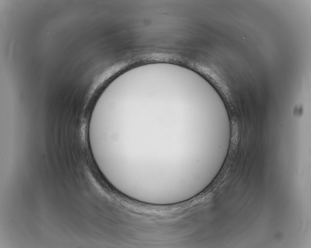 X0000091060016200708061010
