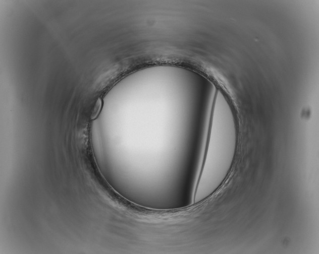 X0000091060017200708061010