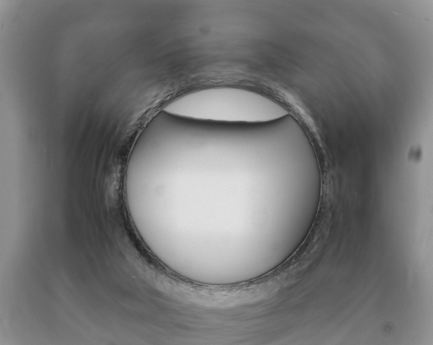 X0000091060018200708061010