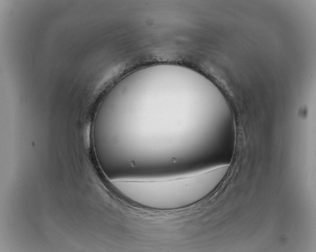 X0000091060019200708061010