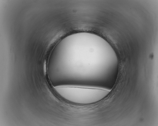 X0000091060020200708061010
