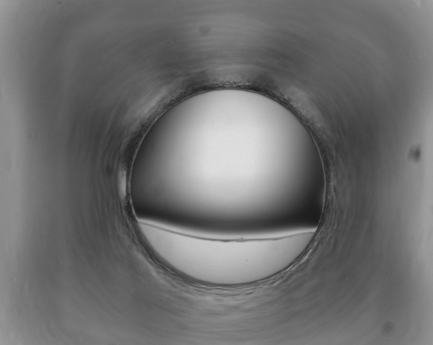 X0000091060021200708061010