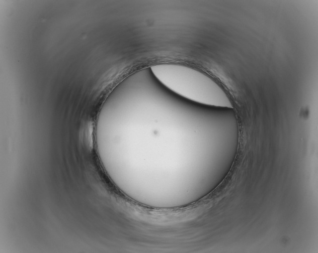 X0000091060022200708061010