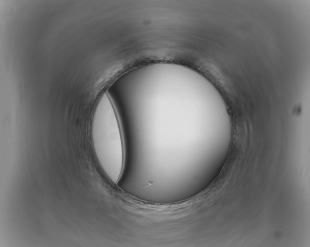 X0000091060023200708061010