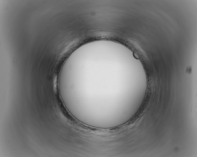 X0000091060024200708061010