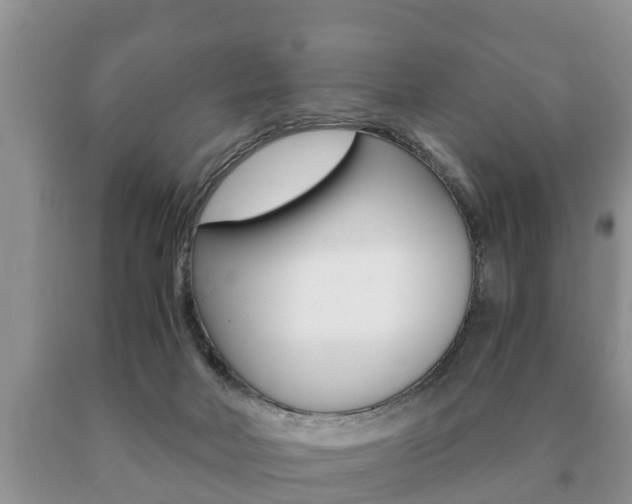 X0000091060026200708061010