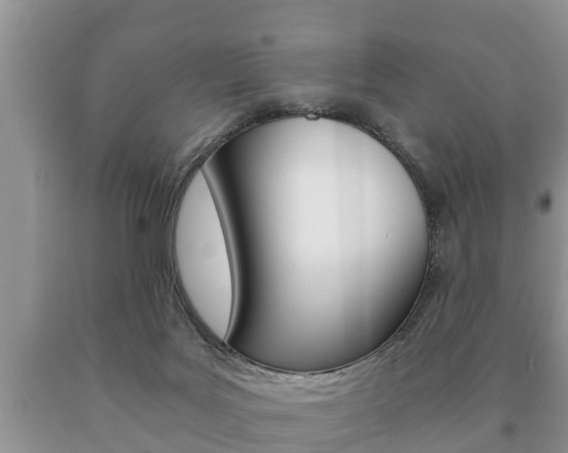X0000091060027200708061010